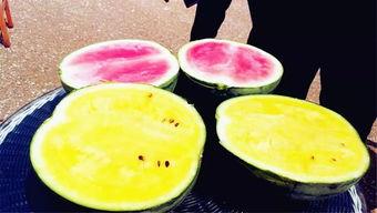 之前的吃瓜爆料叫什么